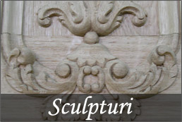 Sculpturi